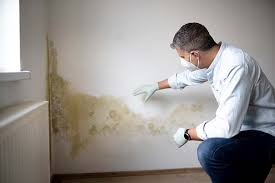 Best Forensic Mold Investigation  in Upper Exeter, PA